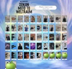 ミセス ゼンジン フォトカノーマルコンプ Mrs. GREEN APPLE ゼンジン フォトカード ノーマルコンプ ミセス