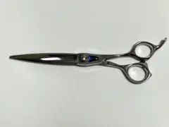 2025年最新】トギノン マリンシャークの人気アイテム - メルカリ