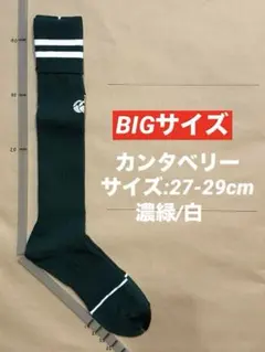 《カンタベリー/27-29cm》ラグビーソックス_382