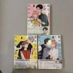 着せたい上司と、なれない部下 全3巻(完結)帯つき
