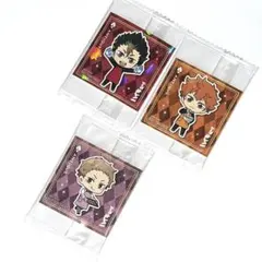 ハイキュー！！ ねこねこ食パン ラスク シール ステッカー 3枚セット　ホロ