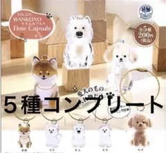【新品】わんこのタイムカプセル ガチャガチャ コンプリート 5個セット