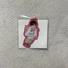 nctwish ランダムトイ アイドル