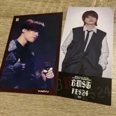 mazzel bmsgfes ポストカード　チケット　カイリュウ