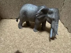 シュライヒ　アフリカゾウ　フィギュア 約15cm