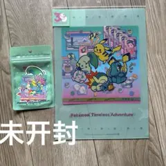 ポケモン30周年を記念したA4クリアファイルですとステッカー