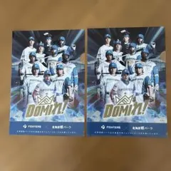 日本ハムファイターズ　クリアファイルのサムネイル