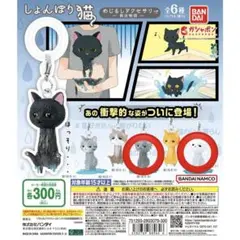 しょんぼり猫 めじるしアクセサリー ～救出物語～