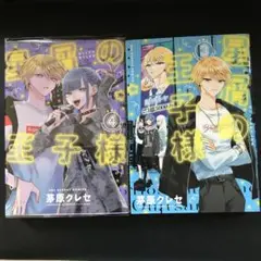 星屑の王子様　3巻4巻