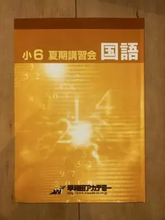 2026年最新】早稲アカ 夏期講習 6年の人気アイテム - メルカリ
