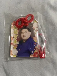 大相撲 お守り型 アクリルキーホルダー 招福万来