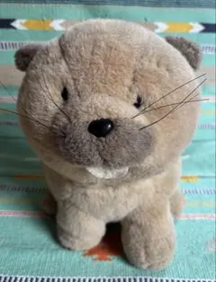 昭和レトロ ヴィンテージ ファンシー たぬき ぬいぐるみ 中古品 - メルカリ