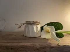 琥珀様 リクエスト 2点 まとめ商品