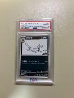2026年最新】nagaba ブラッキー psa10の人気アイテム - メルカリ