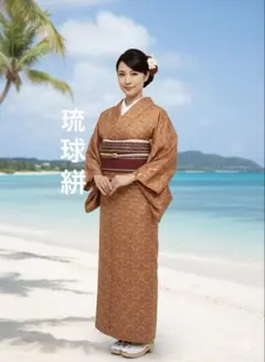 ☘️早い者勝ち☘️【国宝品】○国指定重要無形文化財○【久米島紬