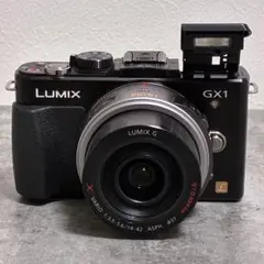 Panasonic LUMIX GF1 + 14-42mm ズームレンズセット Panasonic LUMIX GF1 + 14-42mm ズームレンズセット - メルカリ