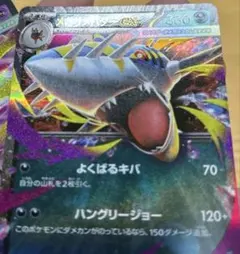 メガサーナイトEX & メガガブリアス エラーカード