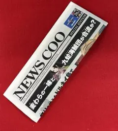NEWS COO SPECIAL EDITION ワンピース　麦わらストア　新聞