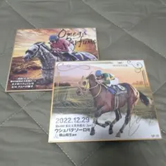 2025年最新】横山和生 サインの人気アイテム - メルカリ