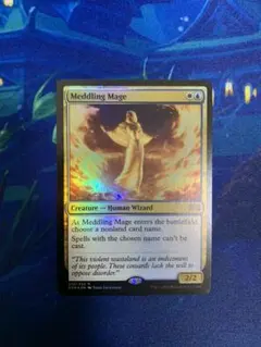 MTG 翻弄する魔道士 EX]翻弄する魔道士/Meddling Mage《日本語》【PLS】