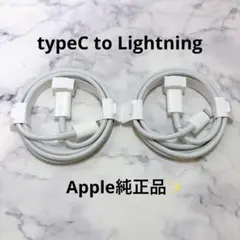 【ZM19】Apple 純正品USB-C to Lightning 2本セット‼️