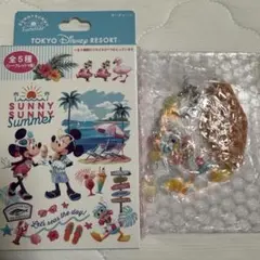 サニーサニーサマーキーチェーン　ドナルド