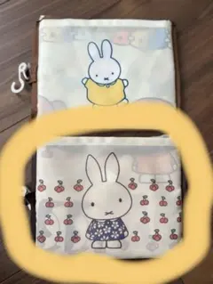 Item thumbnail for item 72ee5348-dd1a-453c-8d4b-b46018e4e5b0