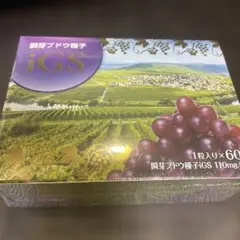 瞬芽ブドウ種子 iGS 賞味期限25年4月 - メルカリ