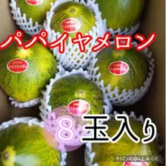 長崎県島原半島産パパイヤメロン8玉入のサムネイル