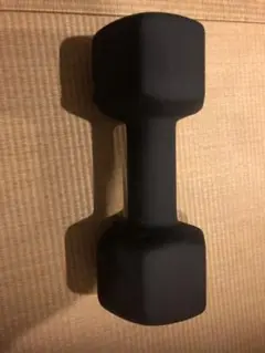 10KG ラバーコーティングダンベル