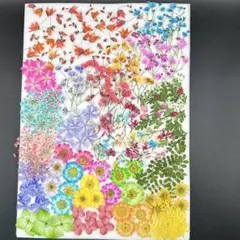 Item thumbnail for item 02882e76-691c-46c8-8d93-74eed9a073cc