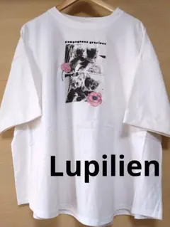 Lupilien 天竺 猫フォトプリント Tシャツ F