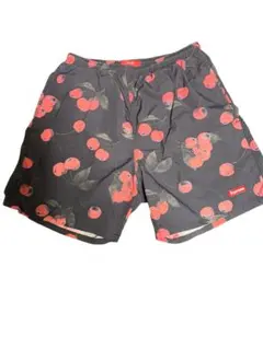 Supreme 19SS Logo Applique Water Short - メルカリ