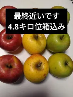 栽培中農薬不使用 弘前産 りんご詰め合わせ 4キロ位梱包材込み - メルカリ