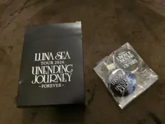 LUNA SEA ギフトエンベロープ ヘアクリップ2個入りのサムネイル