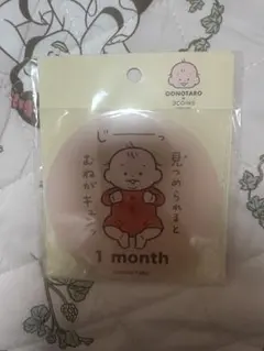 OONOTARO x 3COINS マンスリーカード　新品