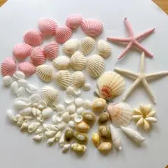 貝殻セット　シェル　貝殻アソート　ピンク　工作　ハンドメイド　材料　パーツ　海
