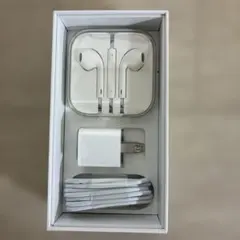 Apple イヤフォン・充電器セット