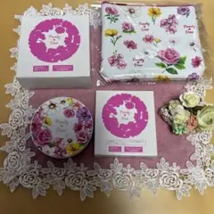 新品未使用品 山口眞未子美白トリートメントスキンケアパウダー 特別