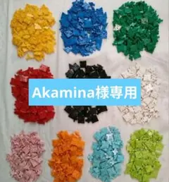 Akamina様専用