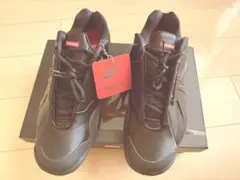 Item thumbnail for item ad8c133b-f711-416c-a299-4eea42b4dbfc