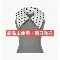 Bibiy. ノースリーブ ドット柄襟付きBETTY DOT TOP グレー Bibiy. ノースリーブ ドット柄襟付きBETTY DOT TOP グレー - メルカリ