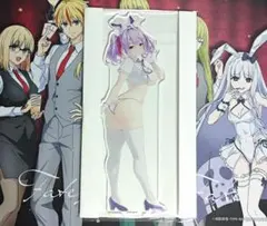 バニーガーデン2×ドン・キホーテ コラボ 水着バニー姿の英梨紗 - メルカリ