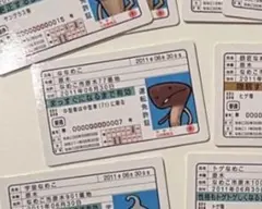 らてぃす様専用