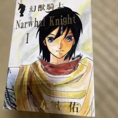 20周年記念 未開封 女剣士カナン - メルカリ