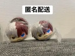 僕のヒーローアカデミア ポプセル 轟焦凍 ２個セット