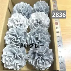ソラフラワー用ソラシート 幅11cm 20g - メルカリ