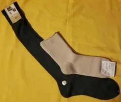 Item thumbnail for item 85b2bf5e-956b-4c99-98cd-e3eb4e980138