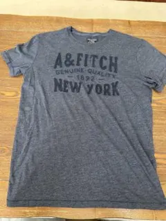 Abercrombie & Fitch 紺 Tシャツ M