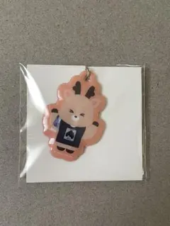 RIIZE 東京ドーム ランダムトイ ソンチャン